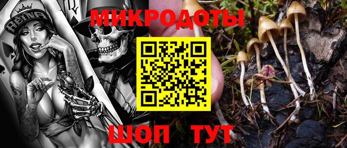 хочу наркоту  Псилоцибиновые грибы мицелий  Белгород  Вход с VPN  Псилоцибиновые грибы Psilocybe 
