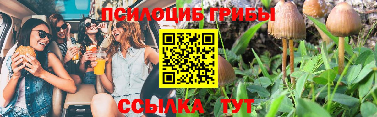 Псилоцибиновые грибы мицелий Белгород
